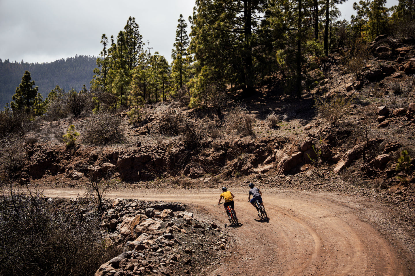Two riders cornering forest road