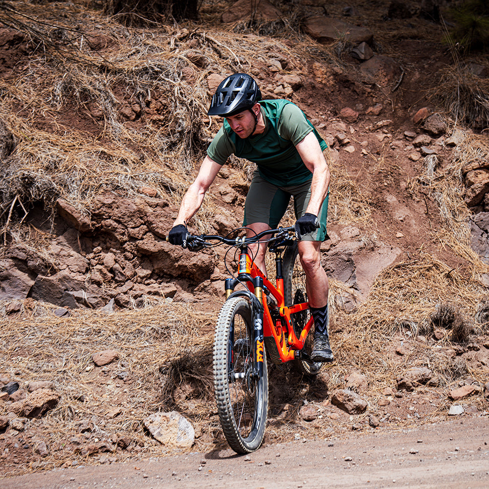 Mens Aravalli Shorts (Beetle)