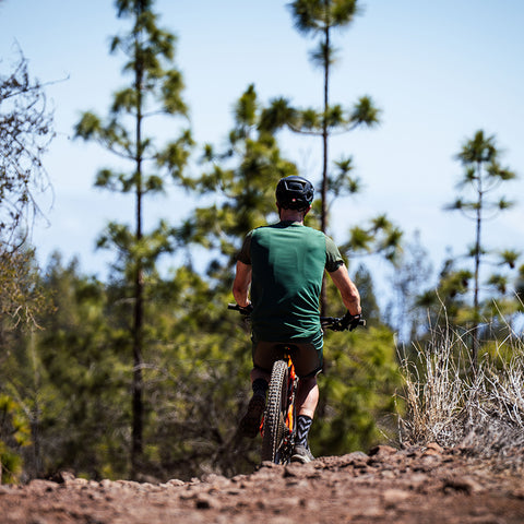 Mens Estremere Jersey (Trekking Green)